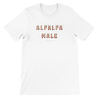 e294857c-edd2-4c15-ab11-f2271378b9c0