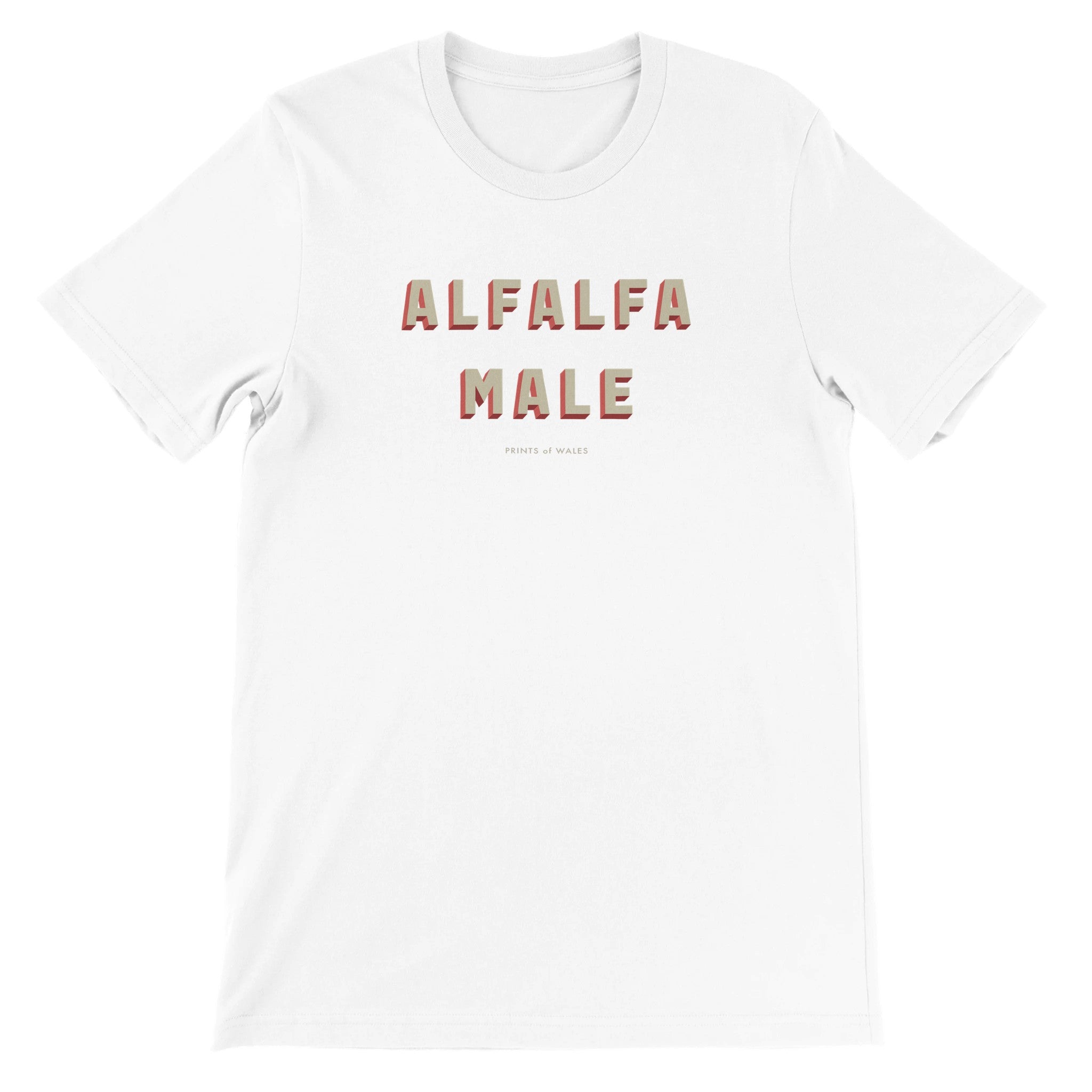 e294857c-edd2-4c15-ab11-f2271378b9c0