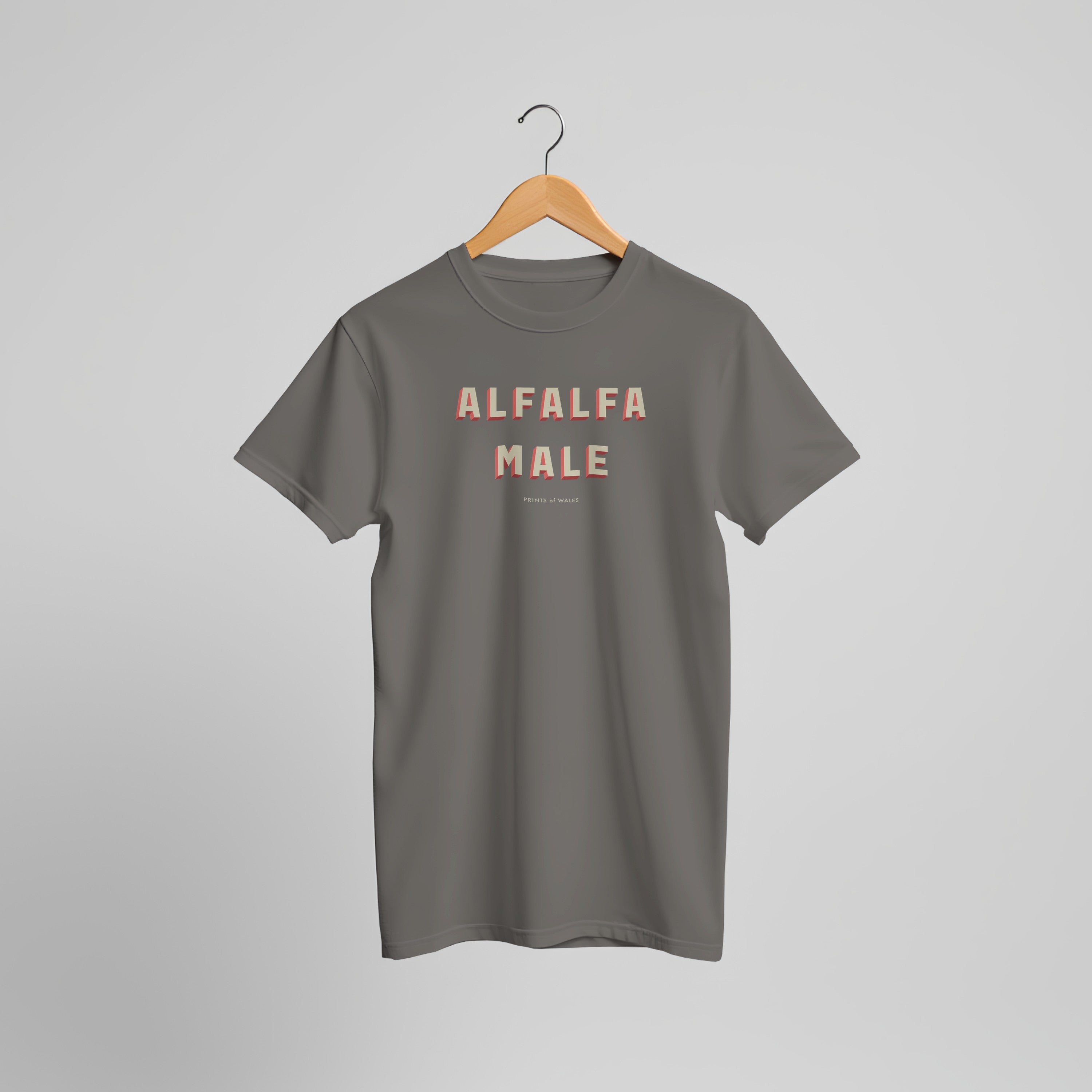 Alfalfa Male T-shirt